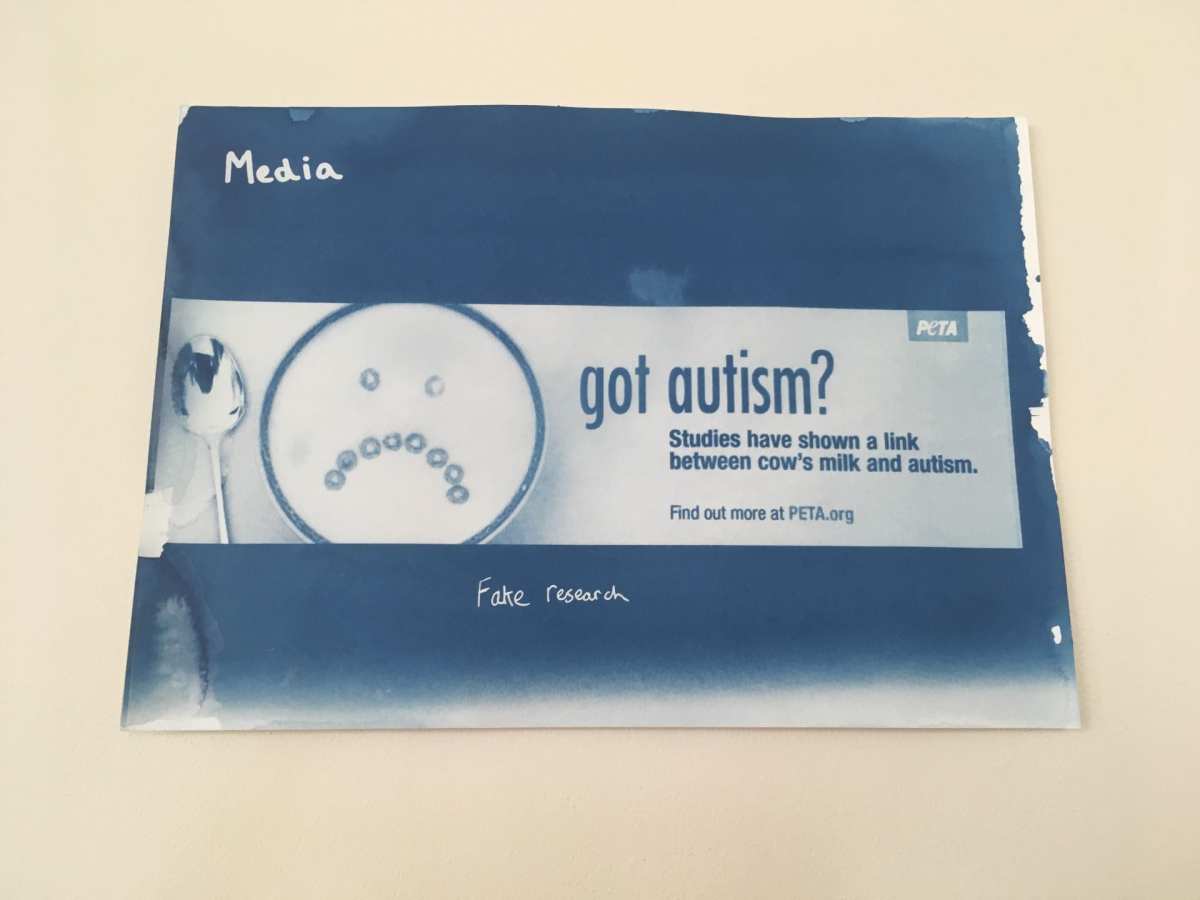 Media cyanotype on paper